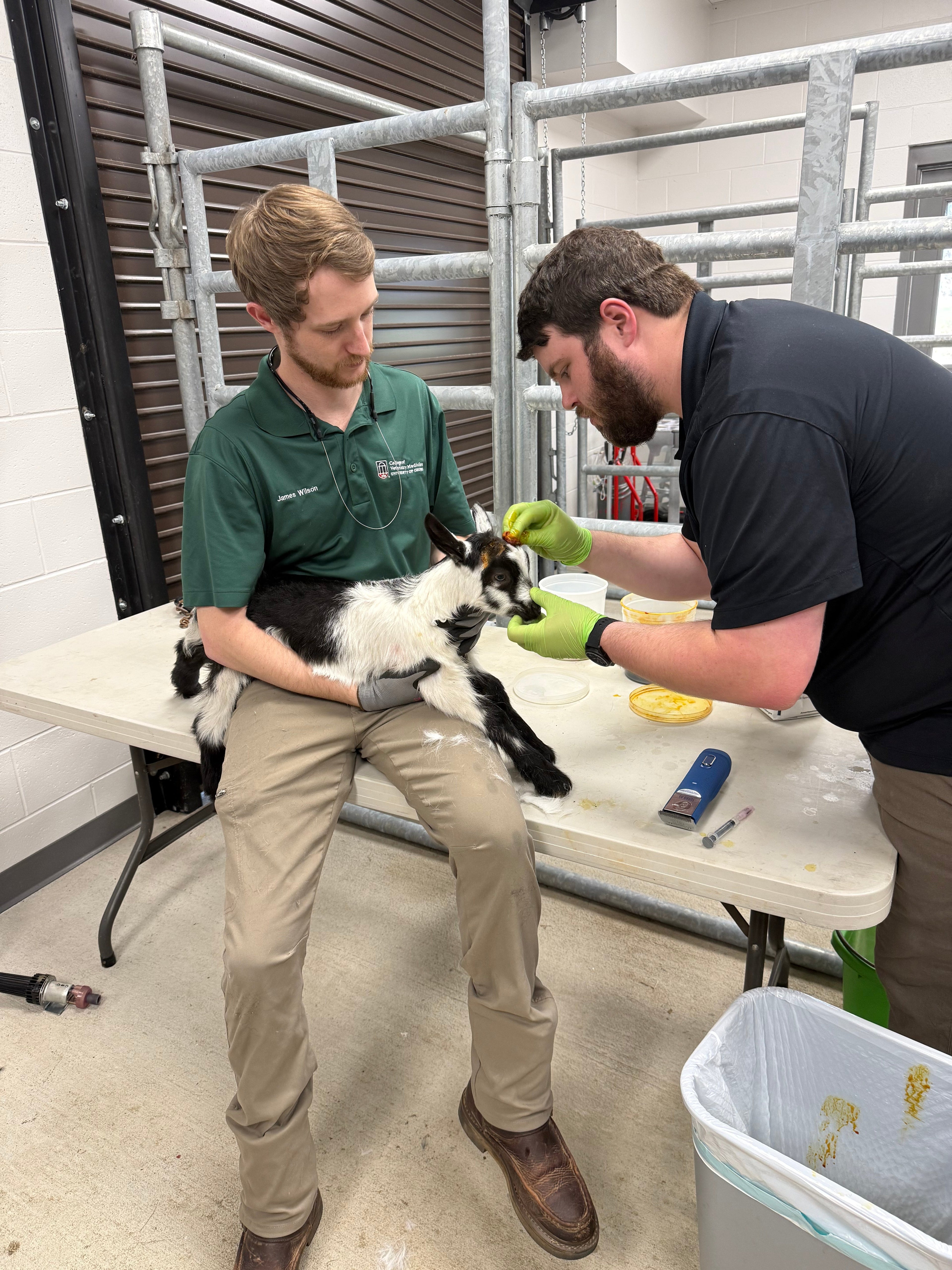UGA Vet Students Visit the Farm
