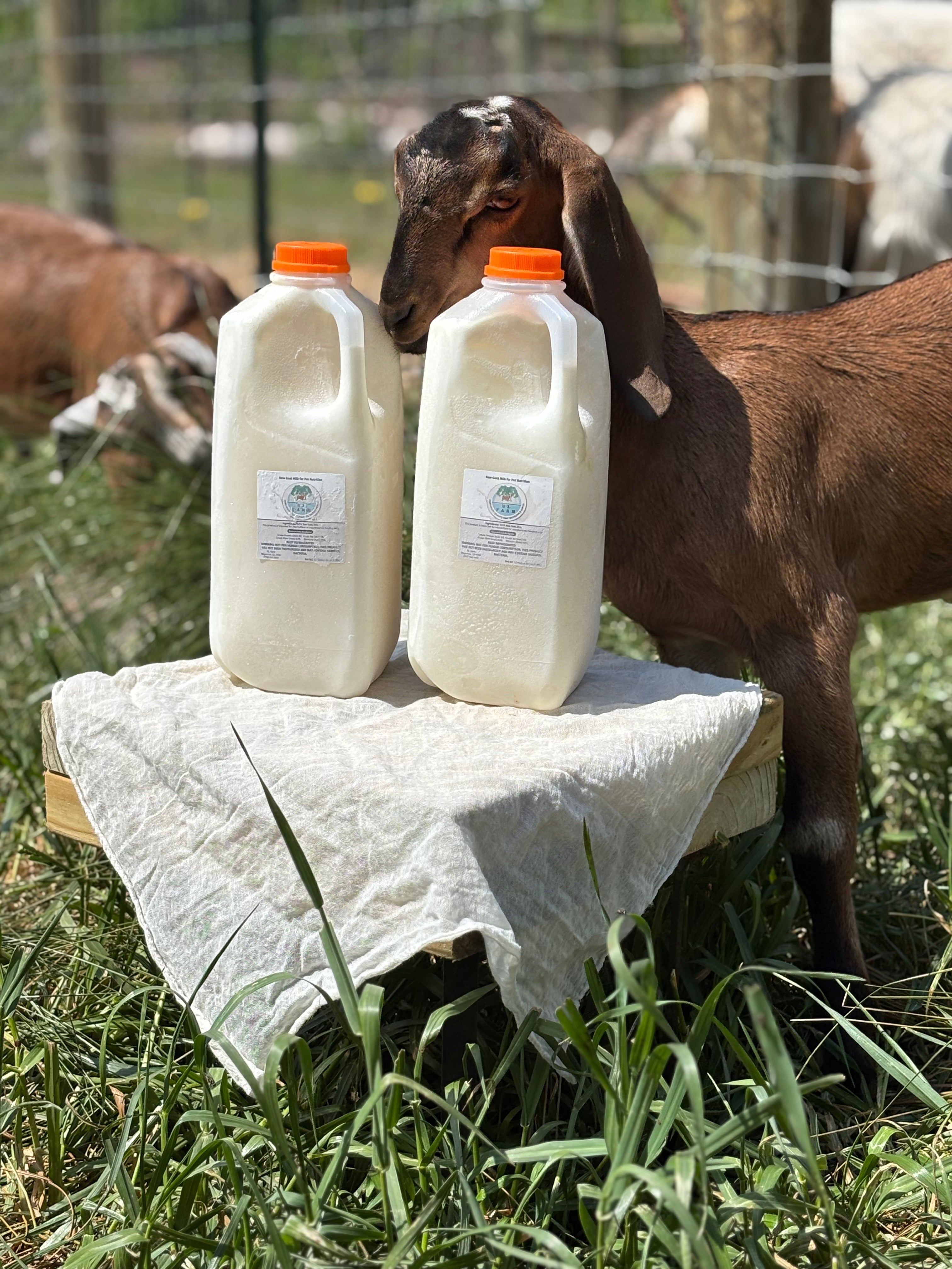 Dairy Products