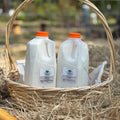 Two milk gallons with orange lids in a woven basket on hay.